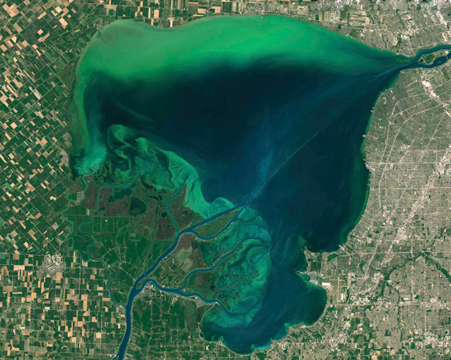 泡沫海洋2.jpg 泡沫海洋2.jpg