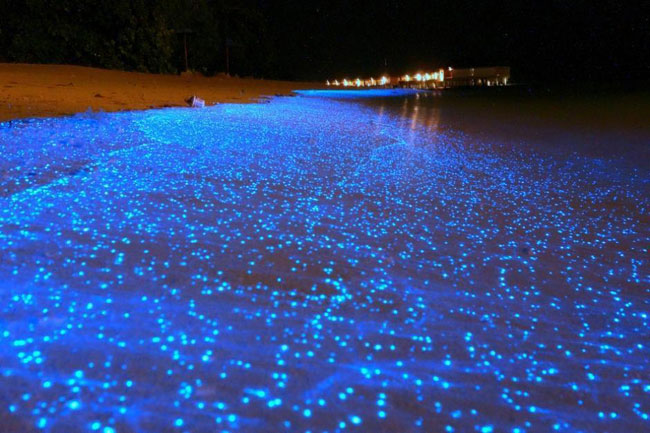 泡沫海洋6.jpg 泡沫海洋6.jpg