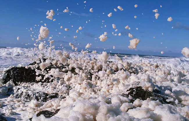 泡沫海洋1.jpg 泡沫海洋1.jpg