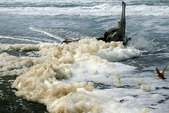 泡沫海洋4.jpg 泡沫海洋4.jpg