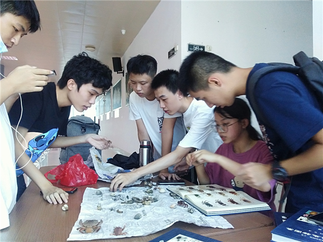 学生翻书 图片1.png 学生翻书 图片1.png