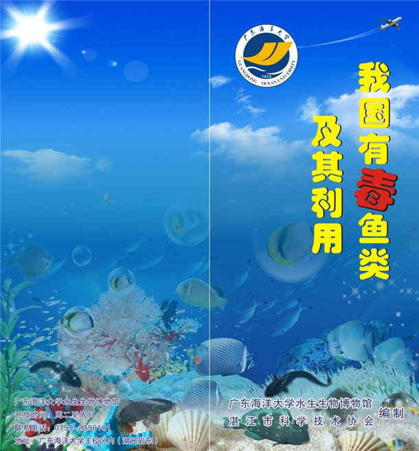 宣传册封面.jpg 宣传册封面.jpg