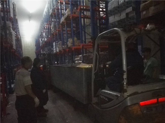 鲸鱼皮放入冷库现场.jpg 鲸鱼皮放入冷库现场.jpg