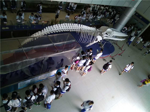 微信图片_20170826155339.jpg