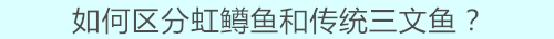 三文鱼3.jpg 三文鱼3.jpg