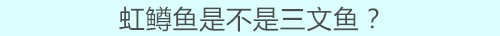 三文鱼2.jpg 三文鱼2.jpg