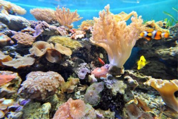 浜屾哀鍖栫⒊.jpg 浜屾哀鍖栫⒊.jpg