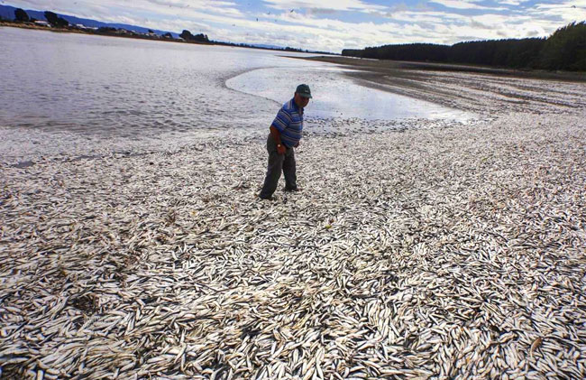 泡沫海洋7.jpg 泡沫海洋7.jpg